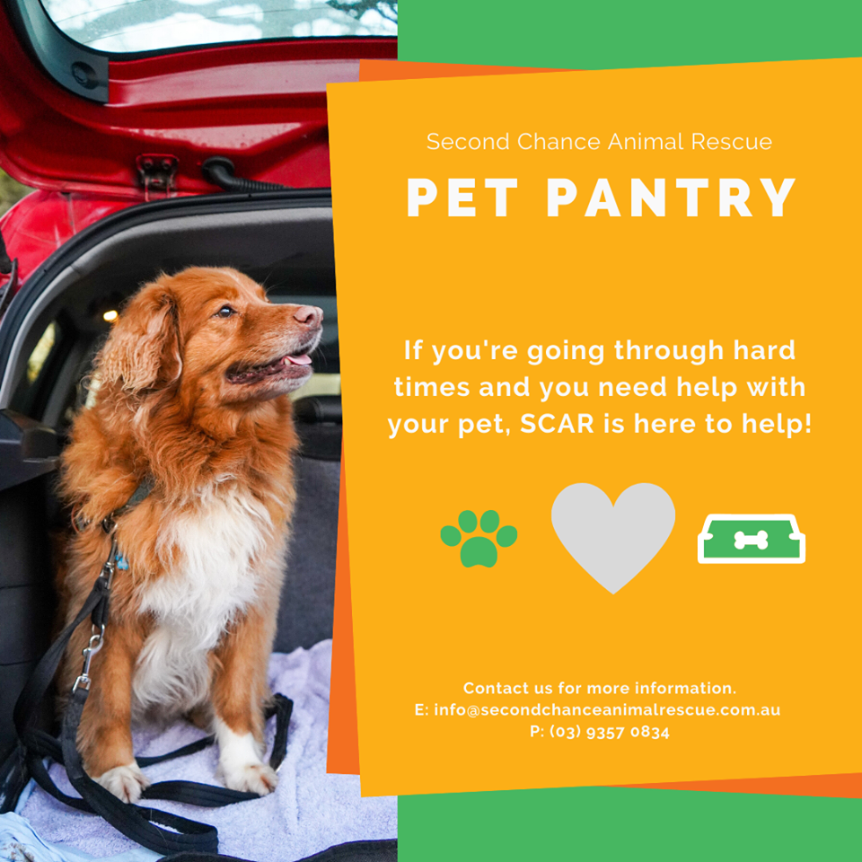 SCAR Pet Food Pantry Second Chance Animal Rescue