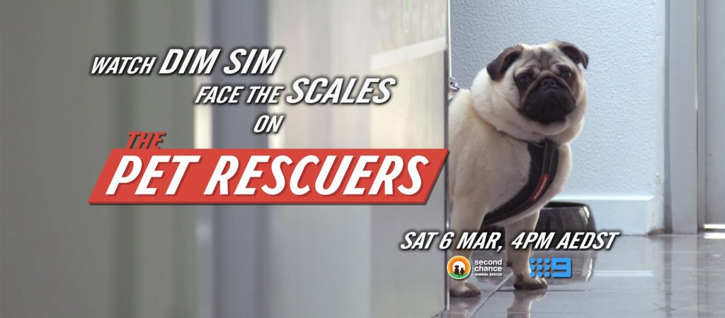 The Pet Rescuers - Second Chance Animal Rescue