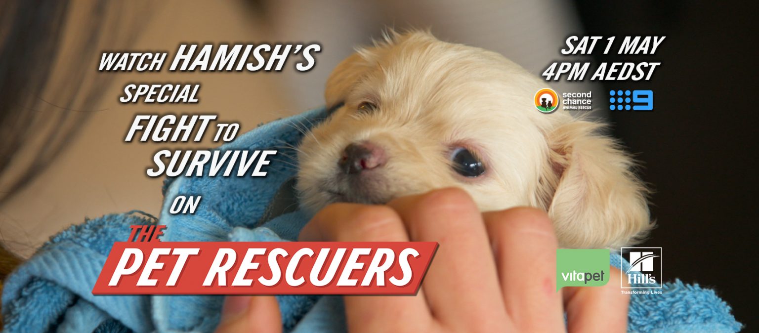 The Pet Rescuers - Second Chance Animal Rescue