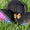 POD Enrichment Toy - Image 3