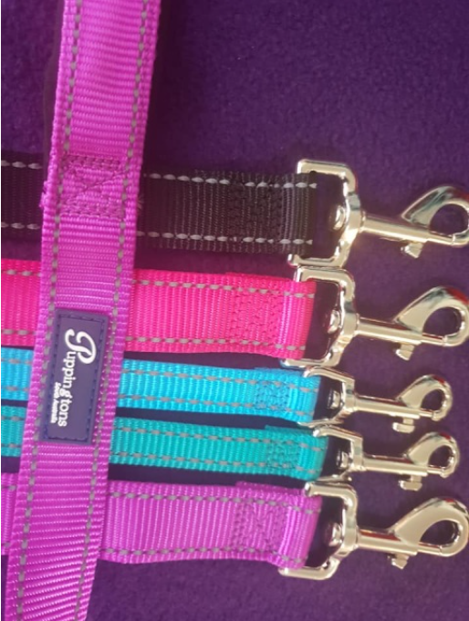 Barney dog leads with neoprene padded handles