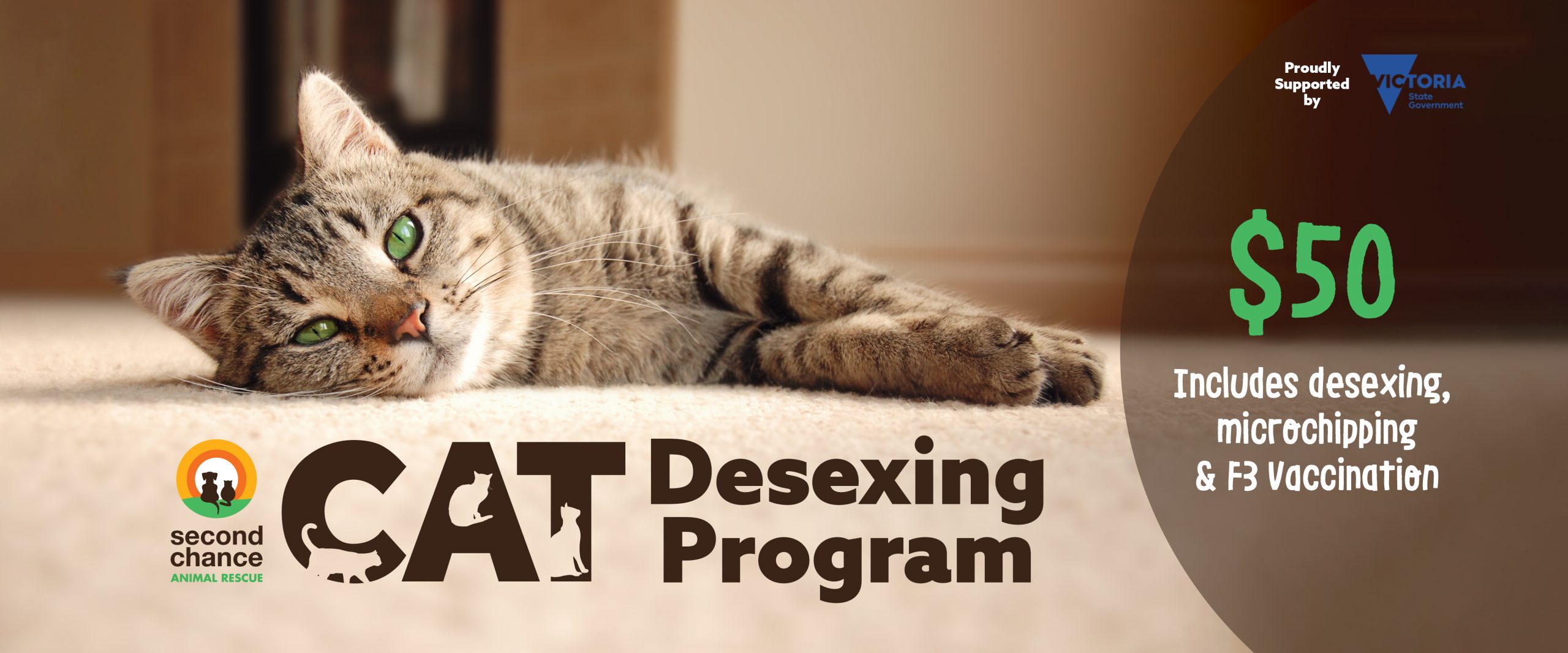 Cat Desexing Program - Second Chance Animal Rescue