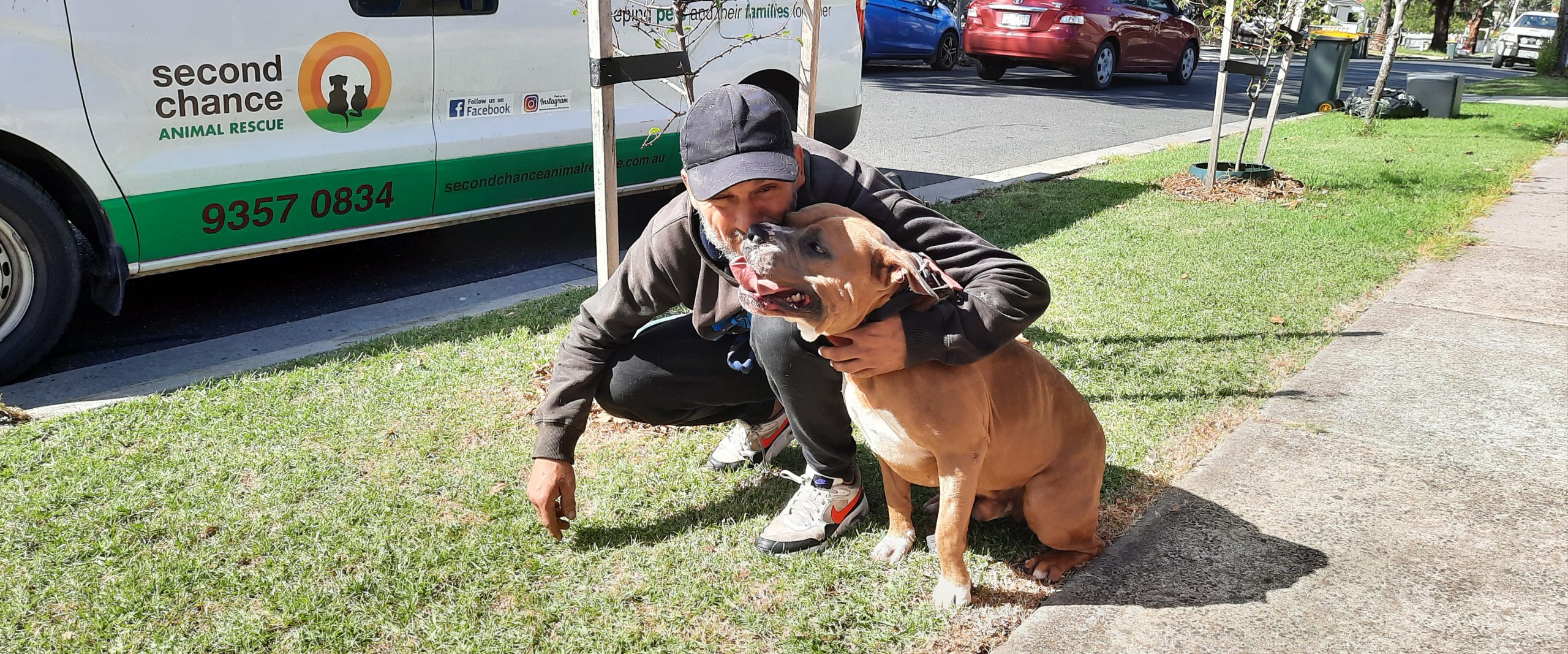 Breaking the stigma Homeless people and pets Second Chance Animal Rescue