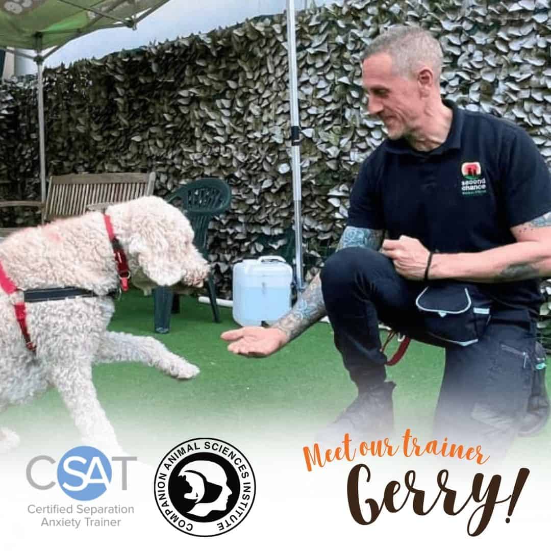Gerry the trainer with a white dog